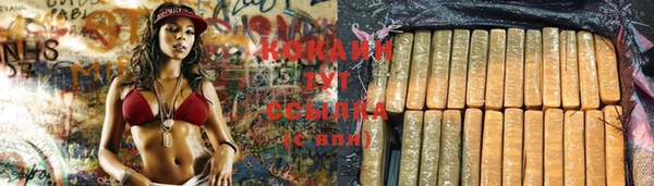 не бодяженный Горно-Алтайск