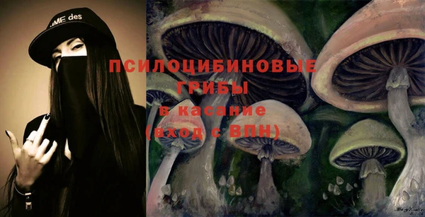 не бодяженный Горно-Алтайск