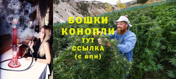 гидропоника Горнозаводск