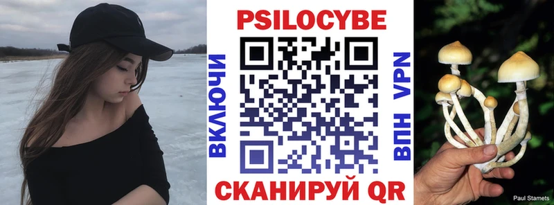Купить Нововоронеж Псилоцибиновые грибы Cubensis